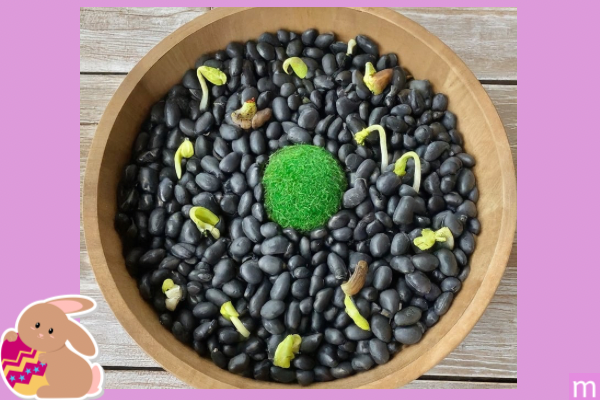 black beans and bean shoots with a green ball