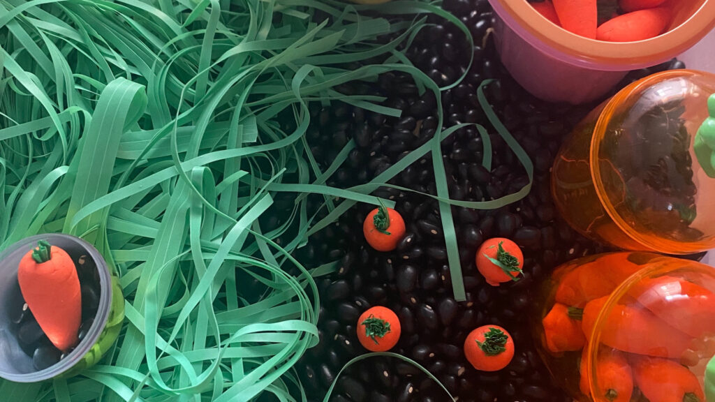 sensory garden carrot bin