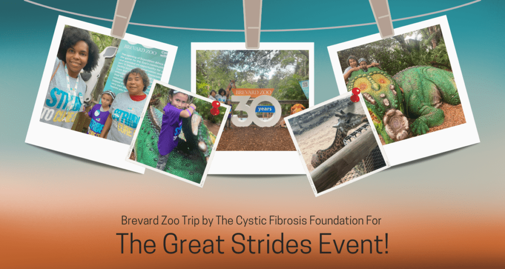 bravard zoo great strides walk for the cystic fibrosis foundation