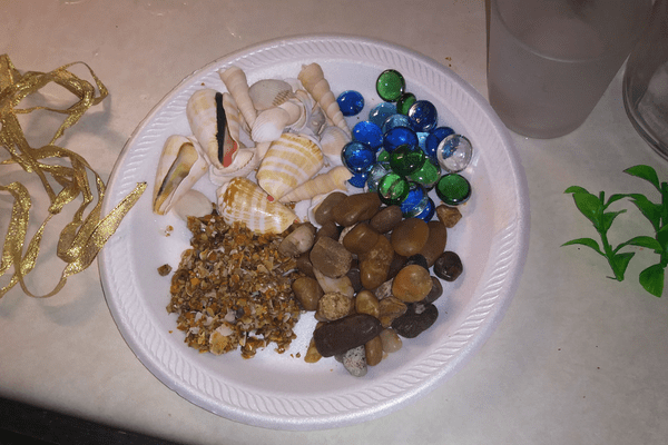 seas shells, pebbles, rocks, coral to make crafts for kids