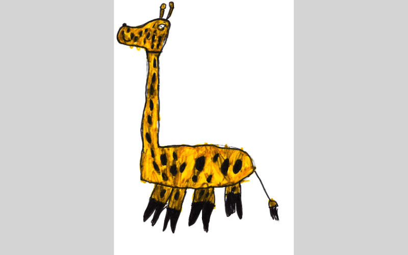 a drawing of a giraffe
