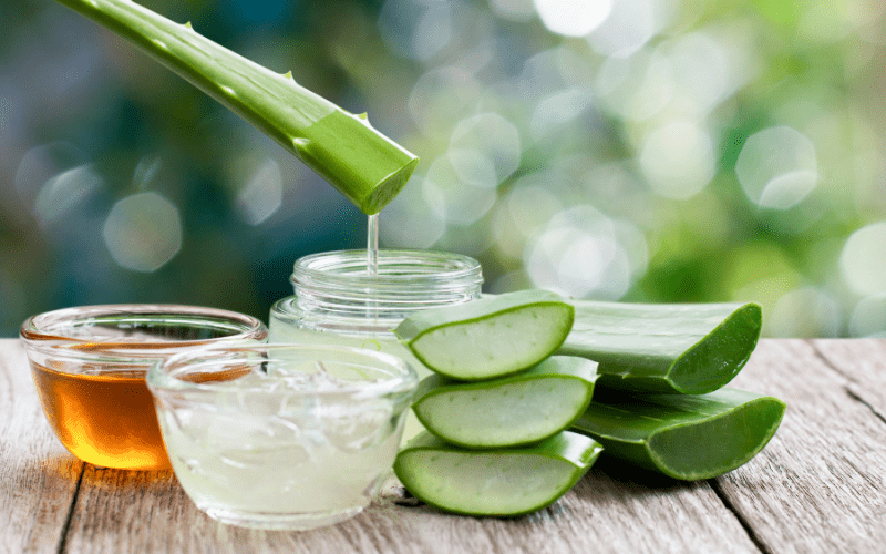 aloe vera for skin poured into a jar aside a bowl of honey and fresh aloe cubes and aloe vera stalks