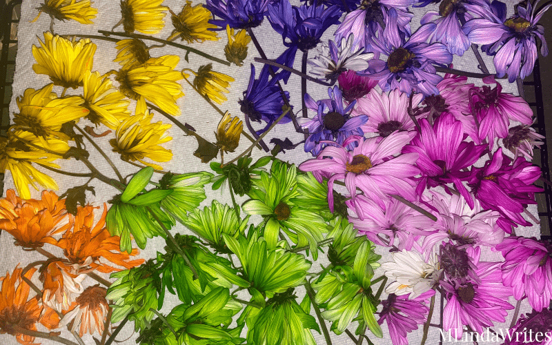 various colorful flowers for candle art craft