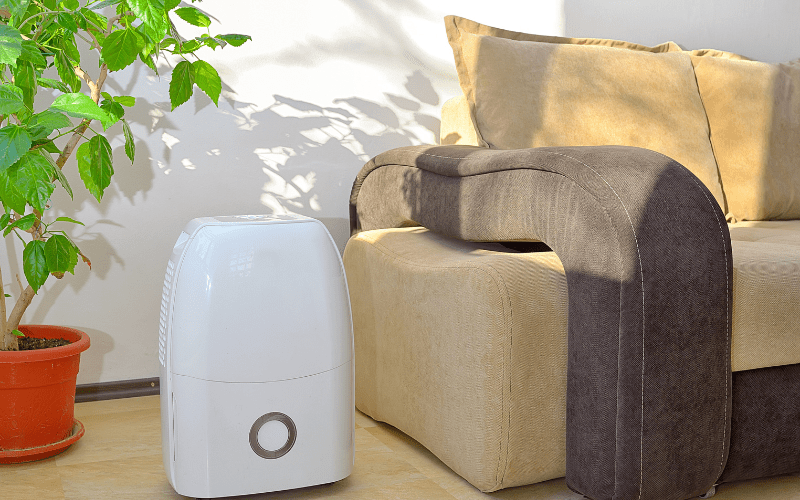 a dehumidifier for dust mite allergies